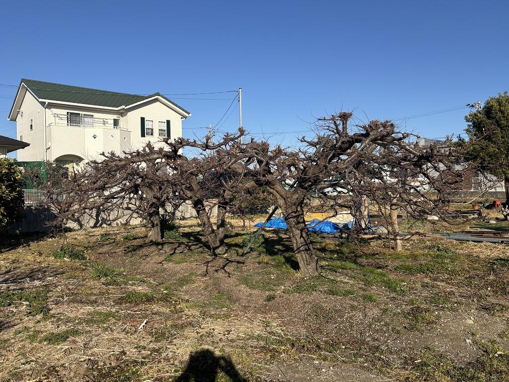 有玉北町 縁辺集落区域内 宅地分譲(R7)